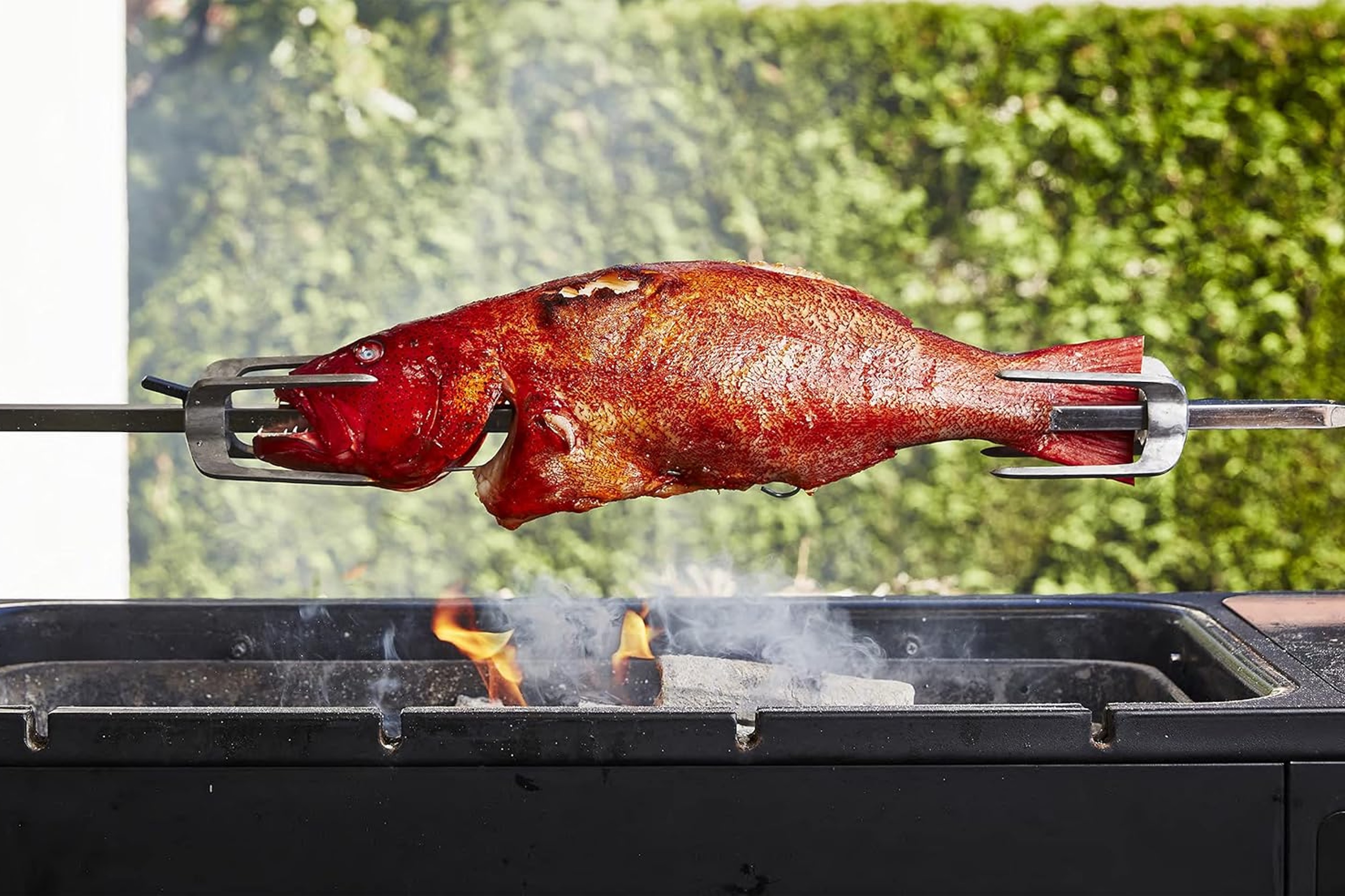 Take One Fish: The New School of Scale-to-Tail Cooking and Eating / Josh Niland