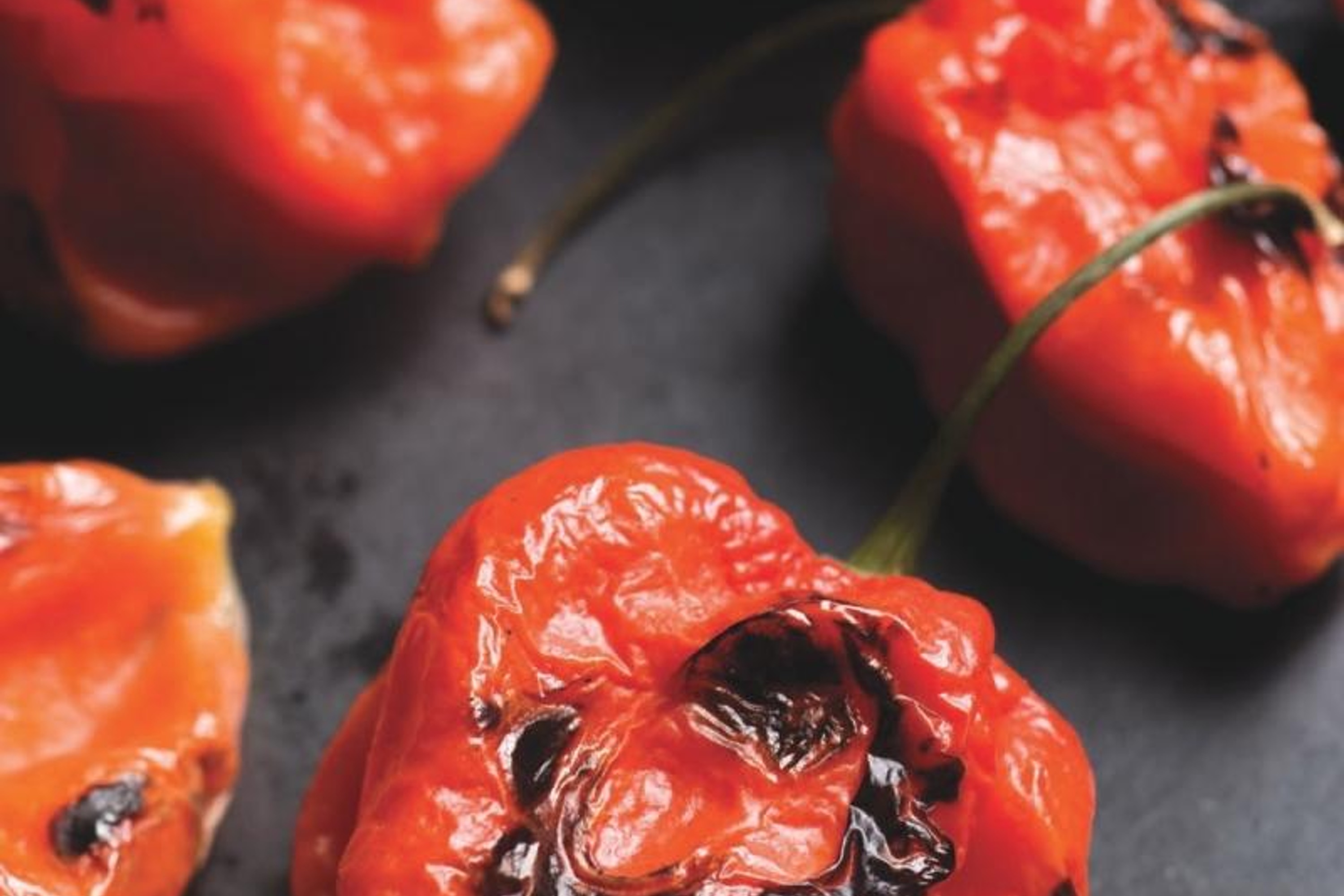 Tacos: Recipes and Provocations / Alex Stupak