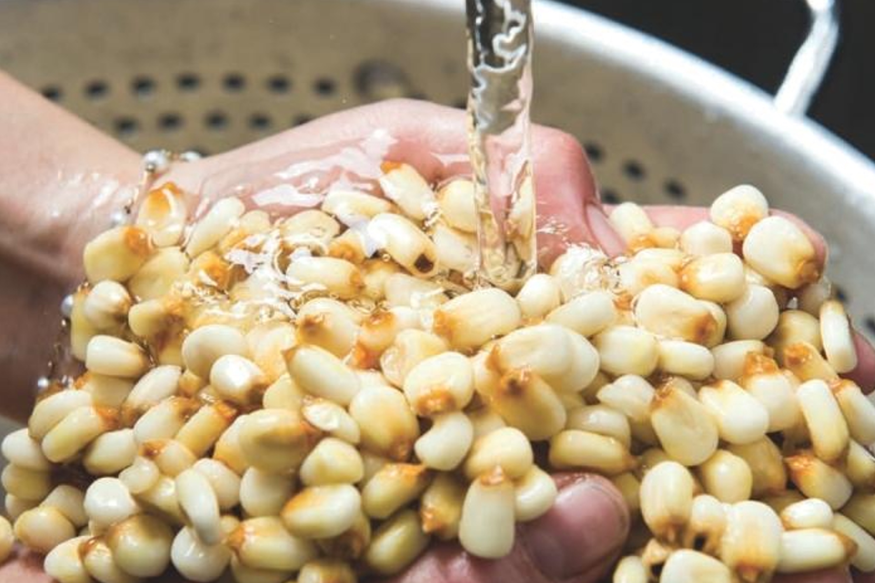 Tacos: Recipes and Provocations / Alex Stupak