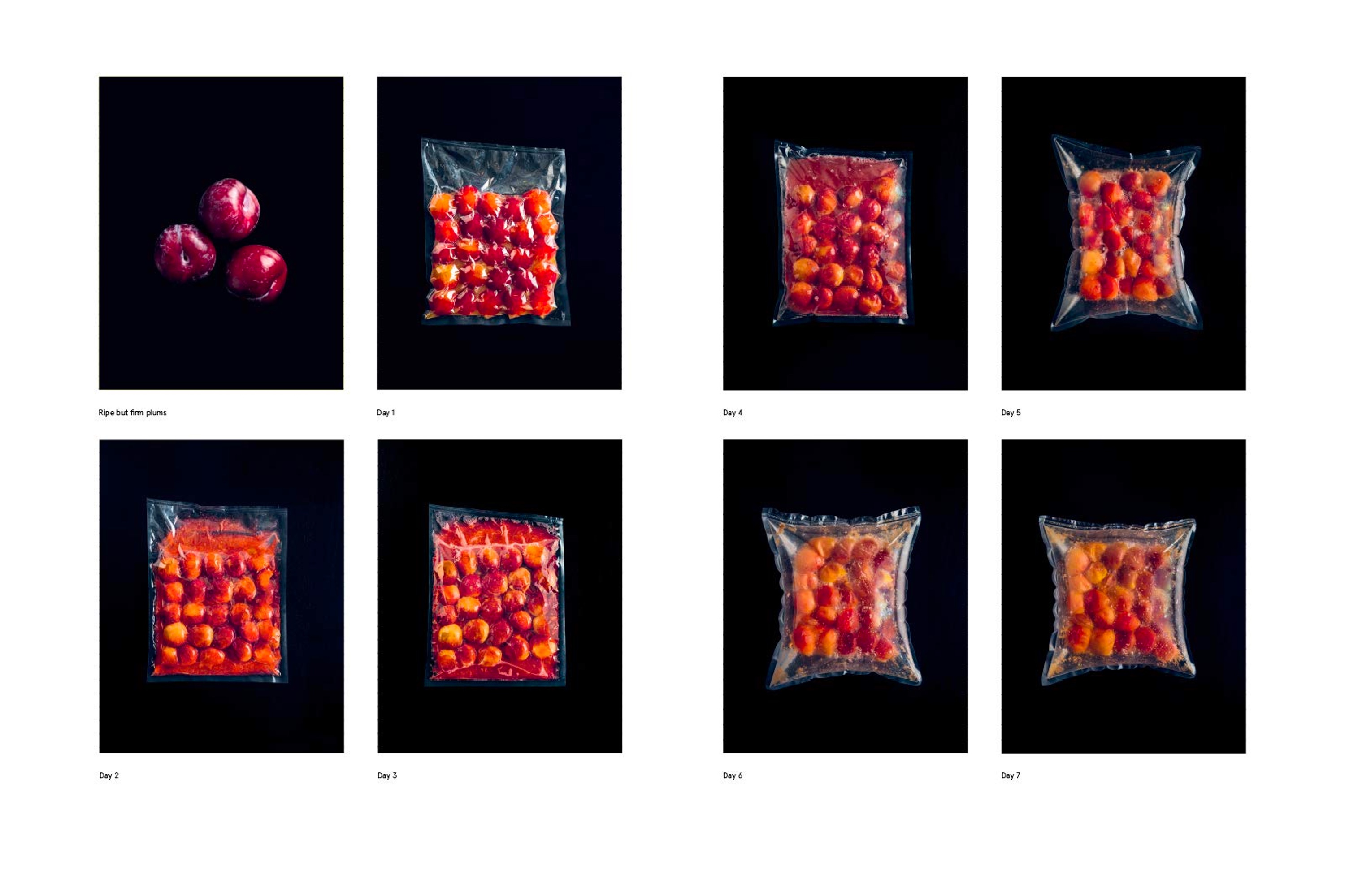 The Noma Guide to Fermentation – Foundations of Flavor / René Redzepi og David Zilber