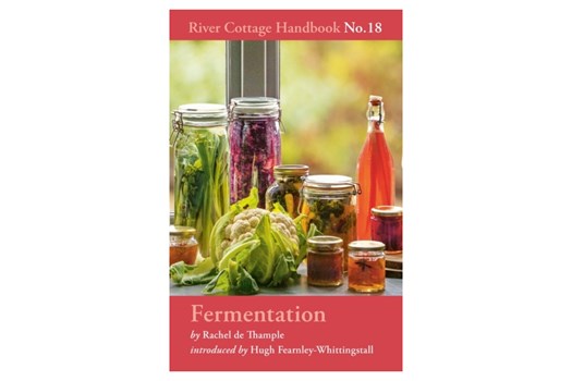 Fermentation – River Cottage Handbook No. 18 / Rachel de Thample og og Hugh Fearnley-Whittingstall