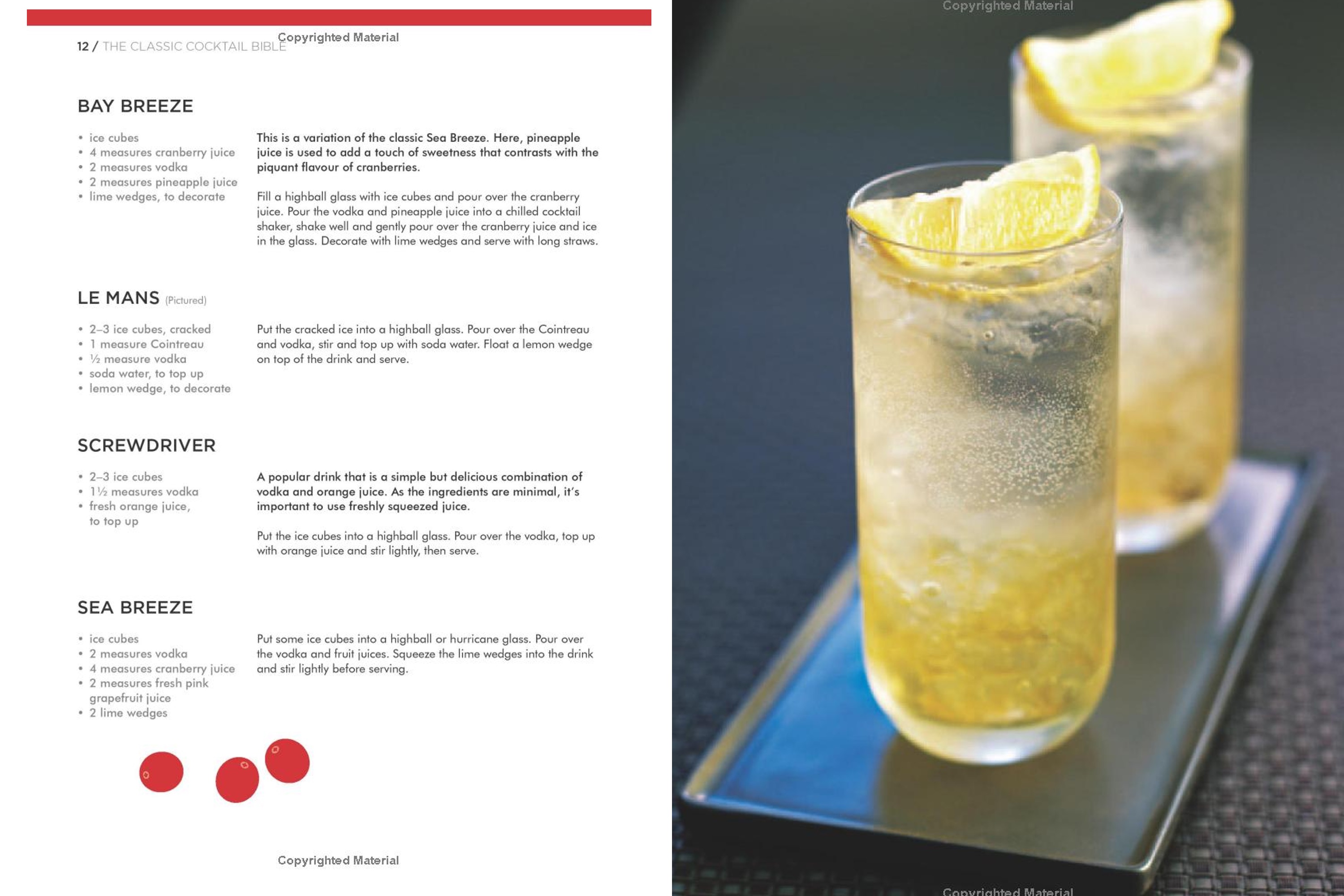 The Classic Cocktail Bible / Allan Gage