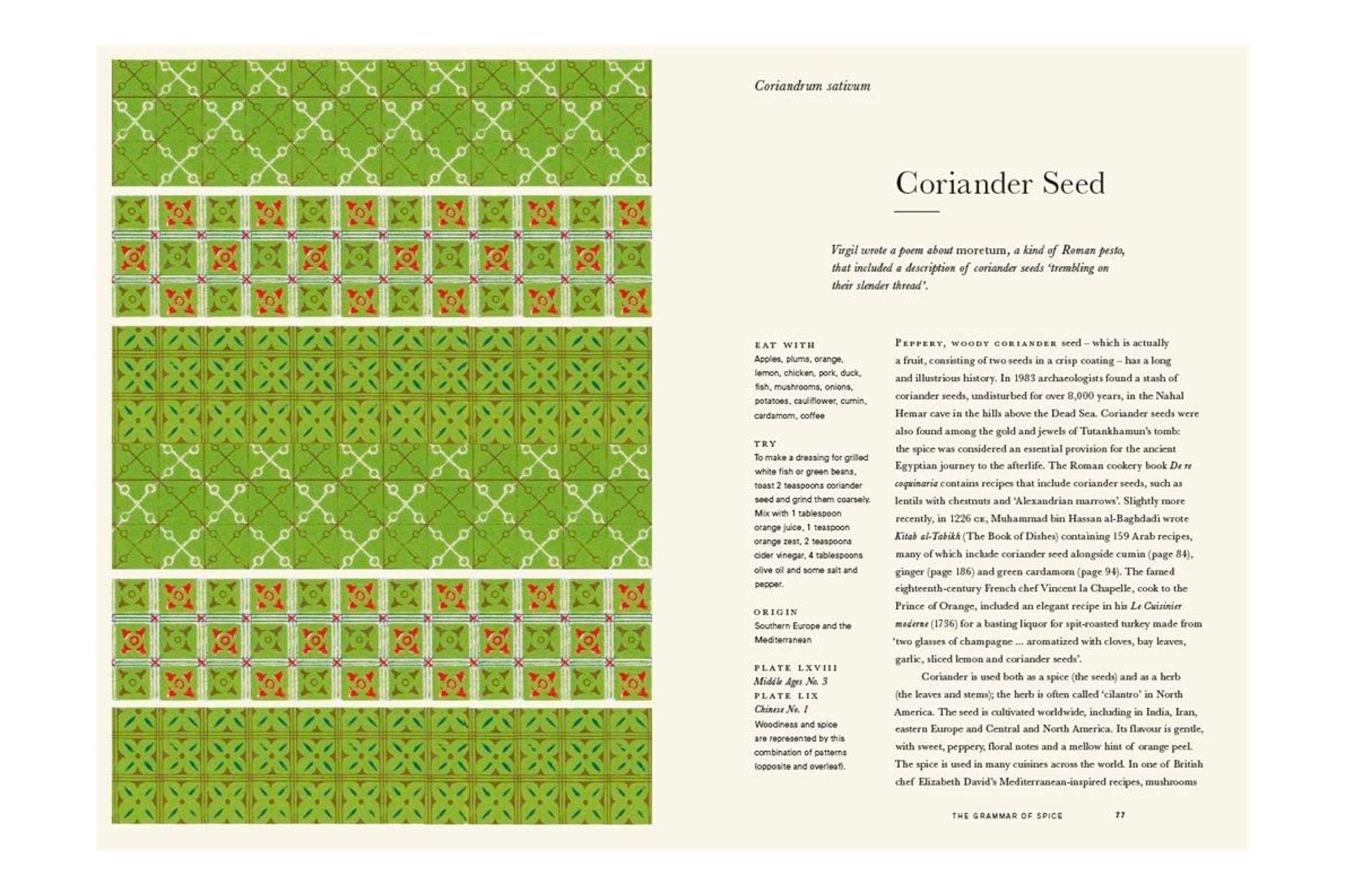 The Grammar of Spice / Caz Hildebrand