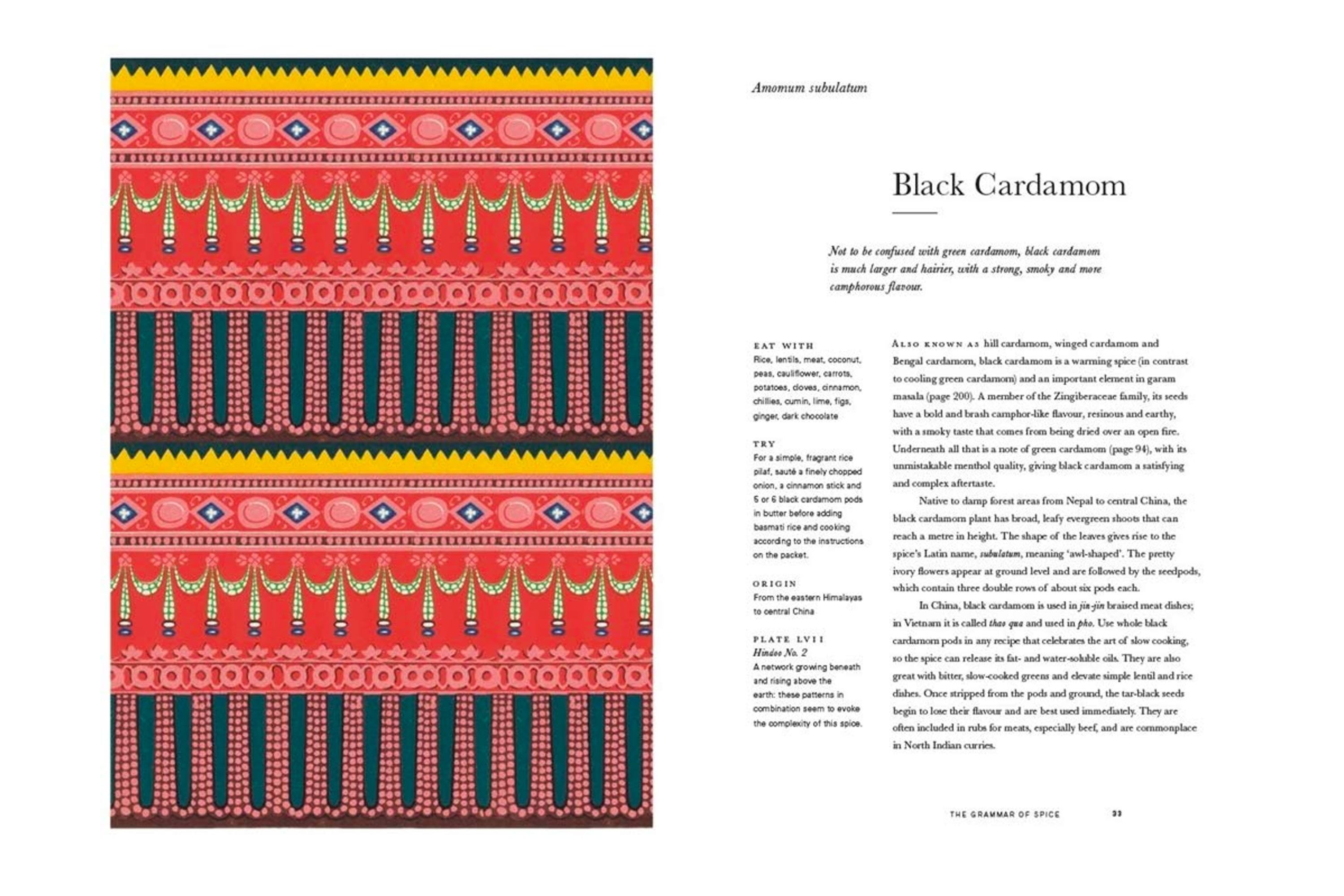 The Grammar of Spice / Caz Hildebrand