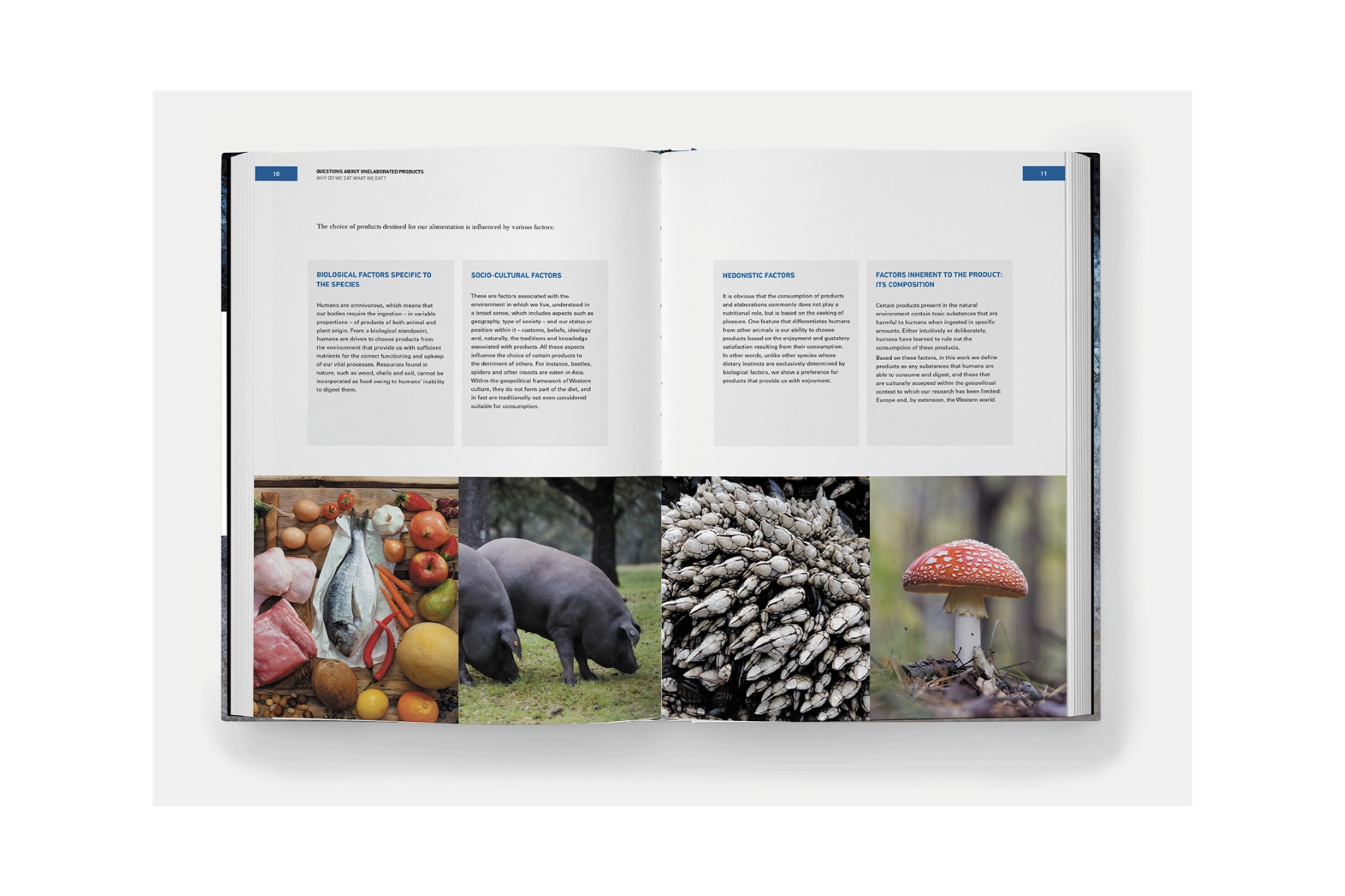 Unelaborated Products: Definition and Classification / Ferran Adria