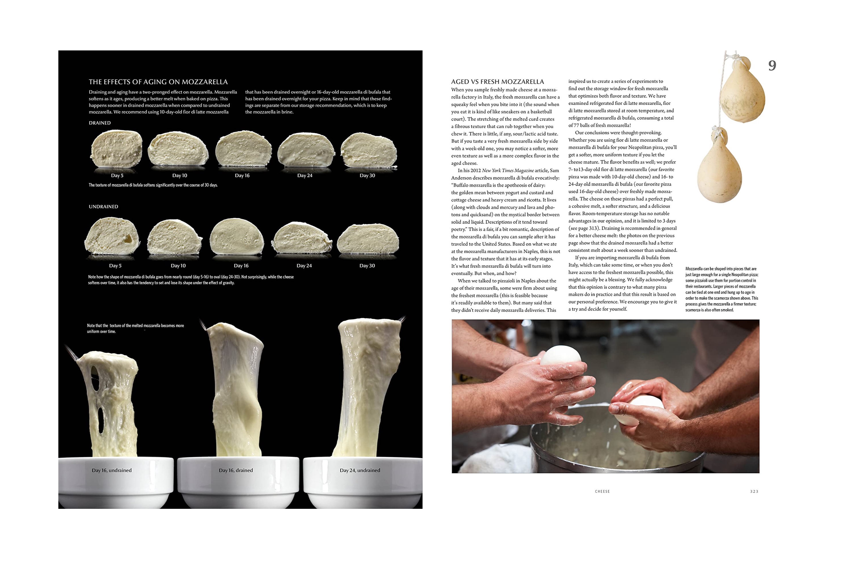Modernist Pizza / Nathan Myhrvold og Francisco Migoya