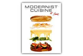 Modernist Cuisine at Home / Nathan Myhrvold