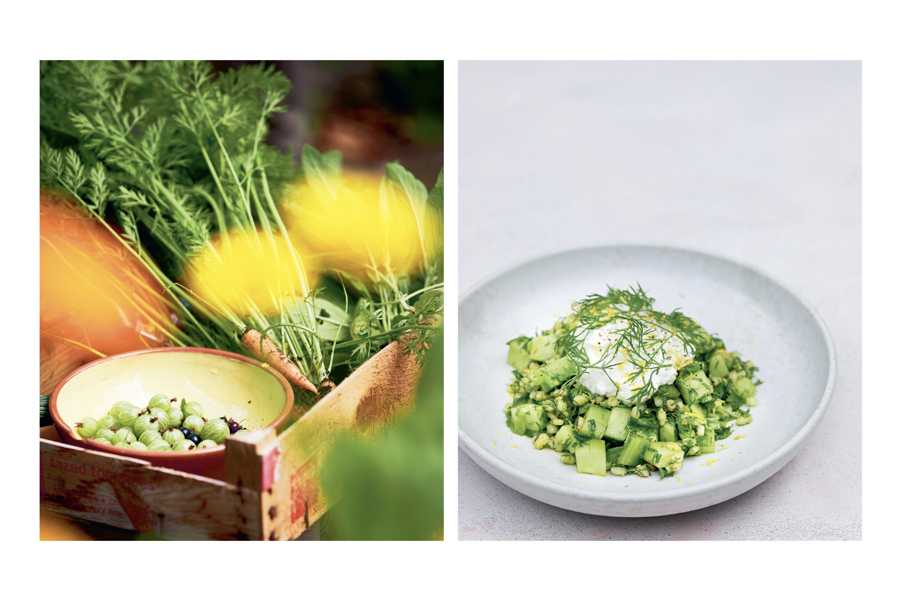 Aamanns grønne køkken / Adam Aamann