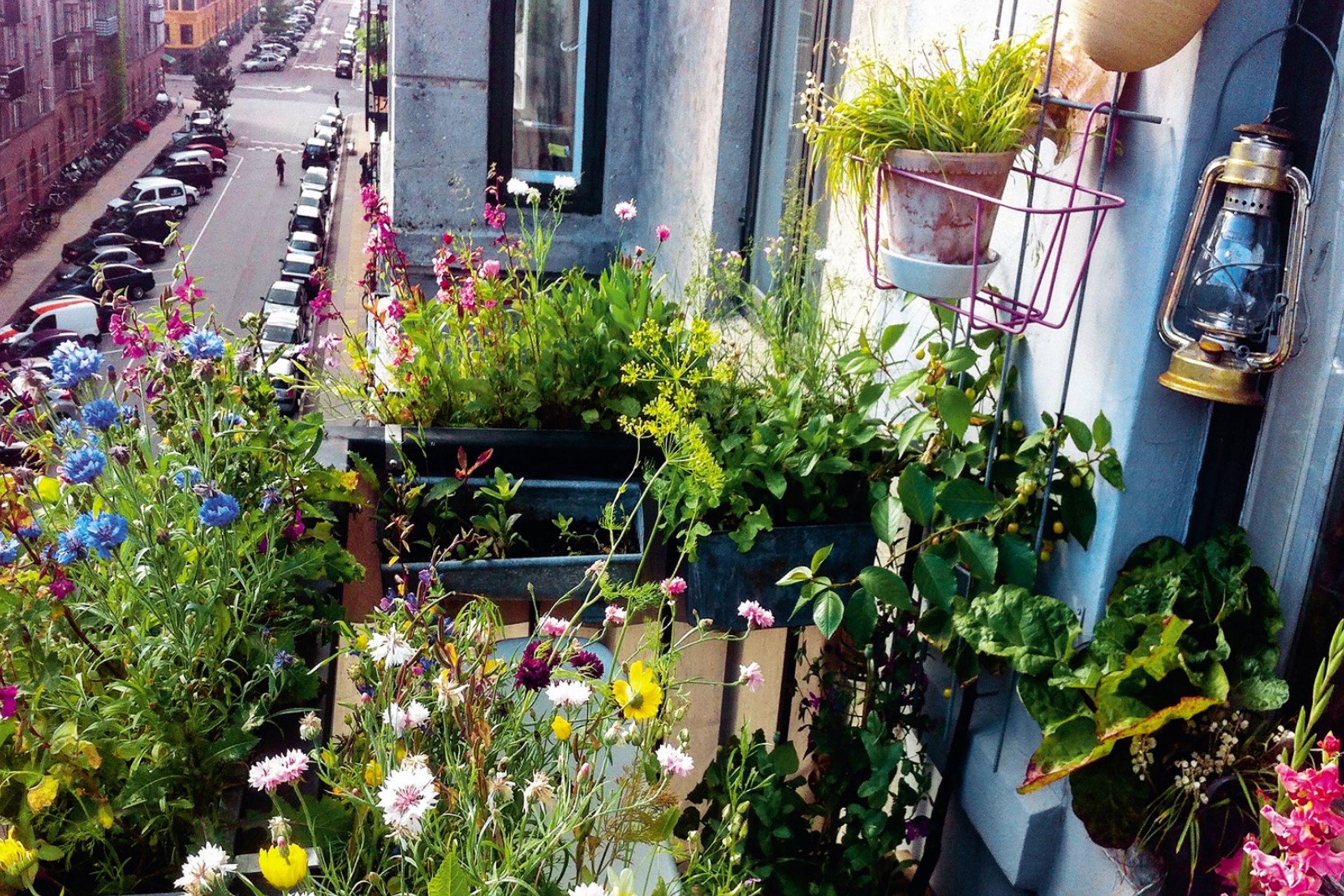 Spis. Grønt. Nemt. Nu. (Grønne opskrifter fra 4. th.)