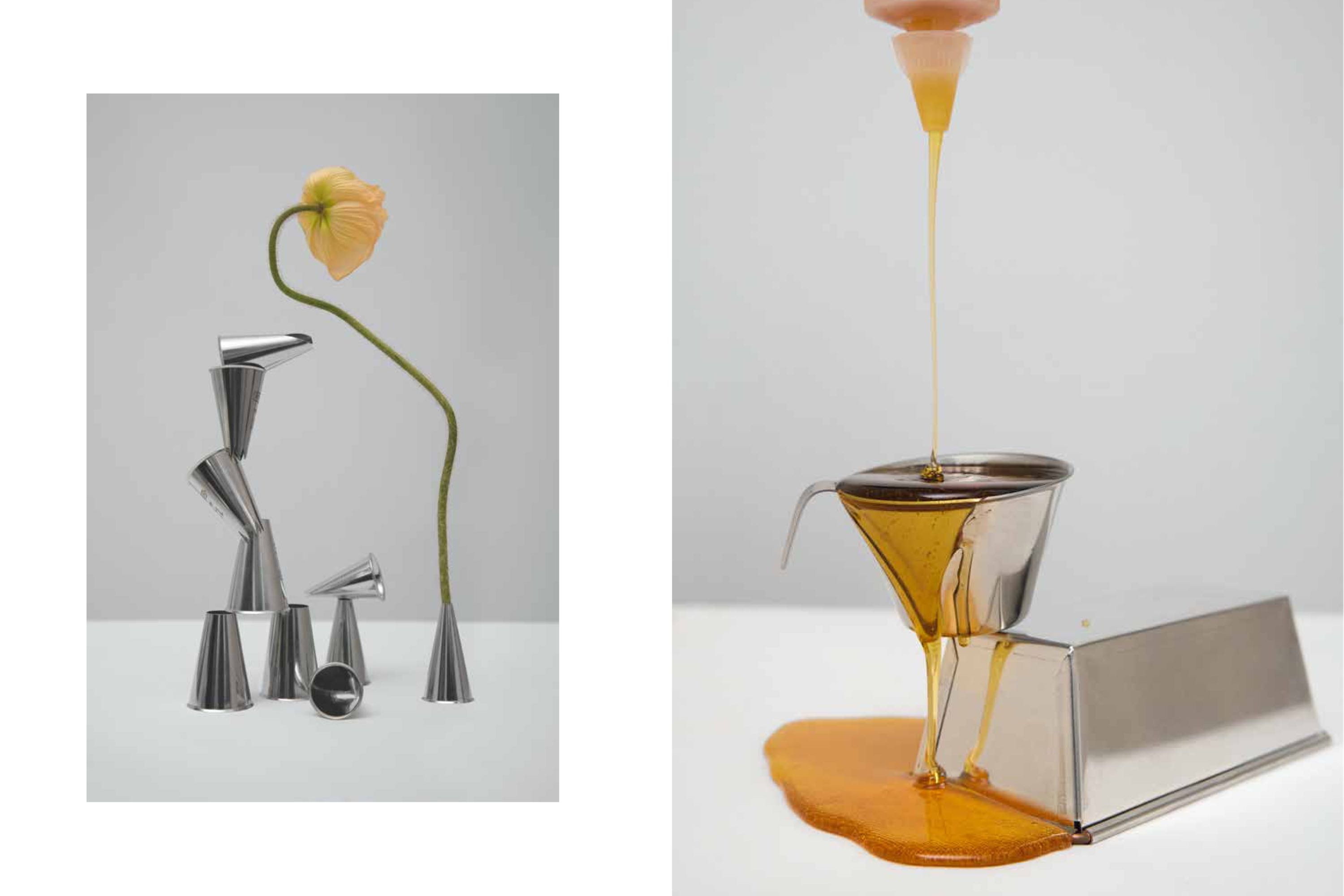 Nordisk patisserie / Sonia Pedersen og Sofie Jakobsen