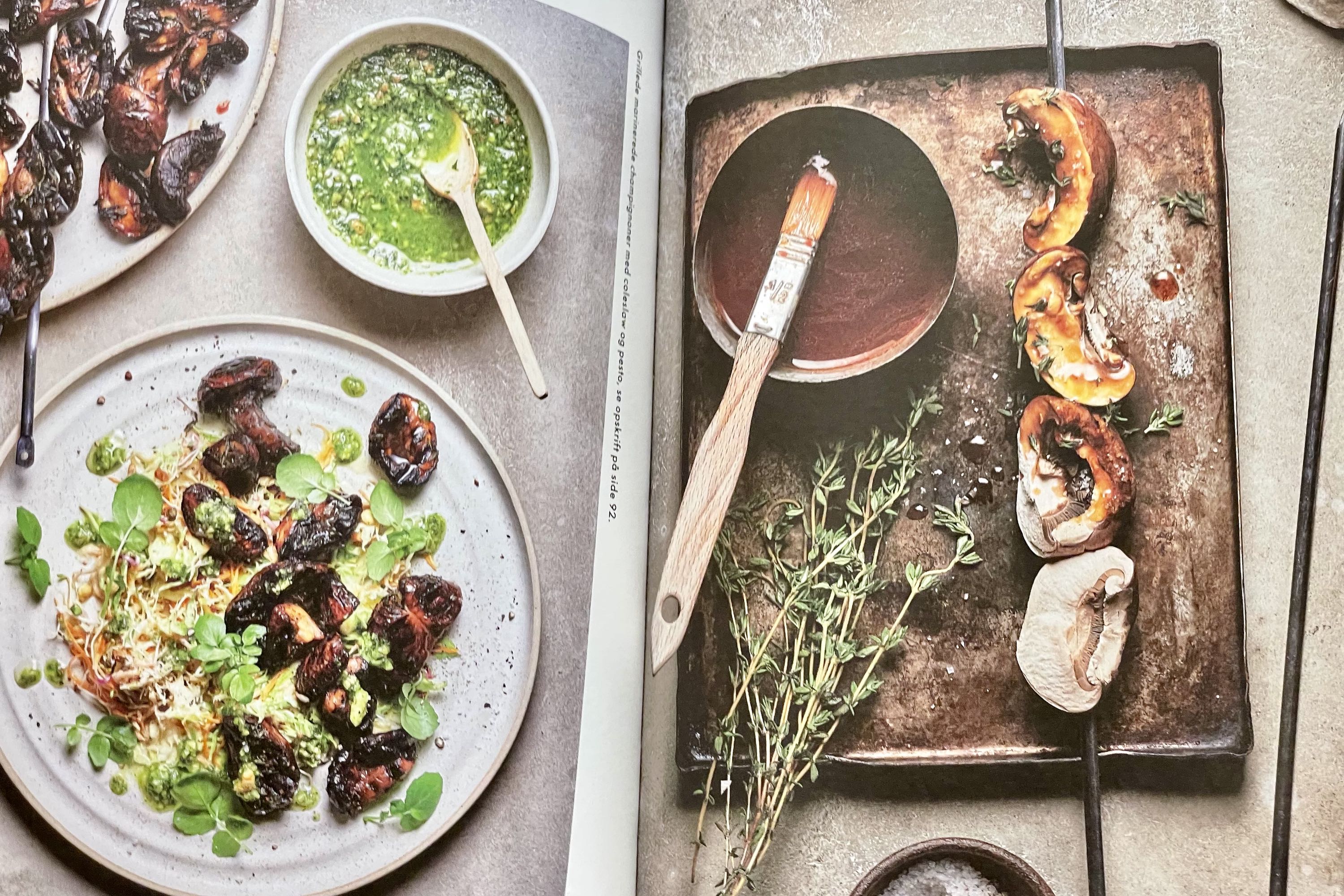 Spis svampe / Martin Nordin