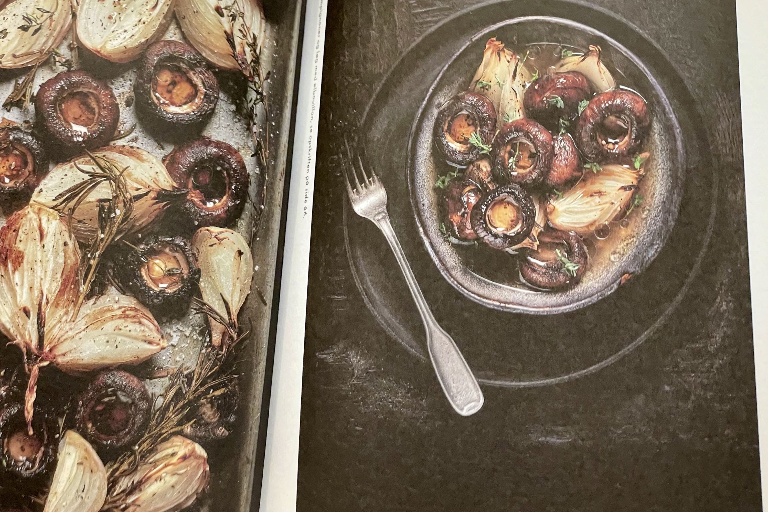 Spis svampe / Martin Nordin