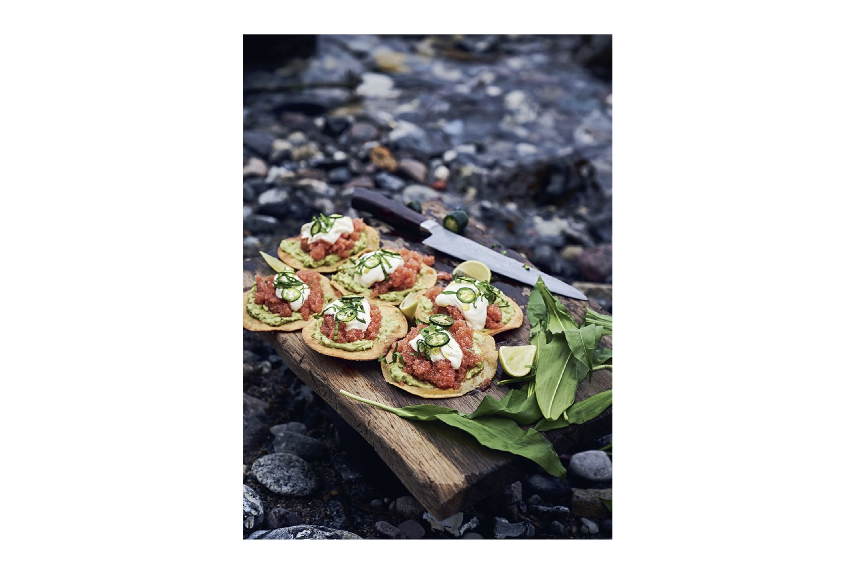 Brændt, røget, hængt, sprængt: Walk on the wild side – opskrifter fra kysten og skoven / Nikolaj Juel og Columbus Leth