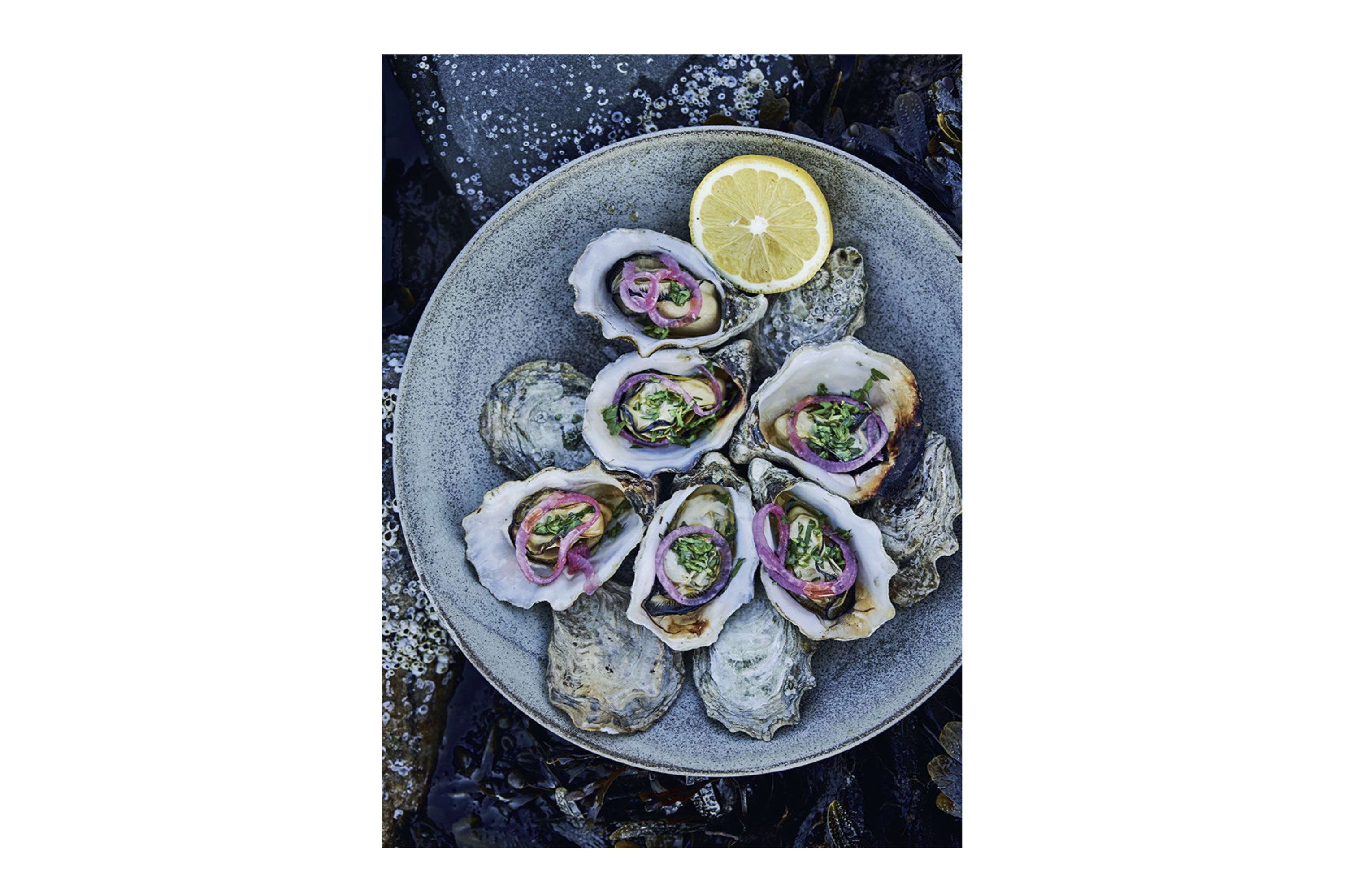 Brændt, røget, hængt, sprængt: Walk on the wild side – opskrifter fra kysten og skoven / Nikolaj Juel og Columbus Leth