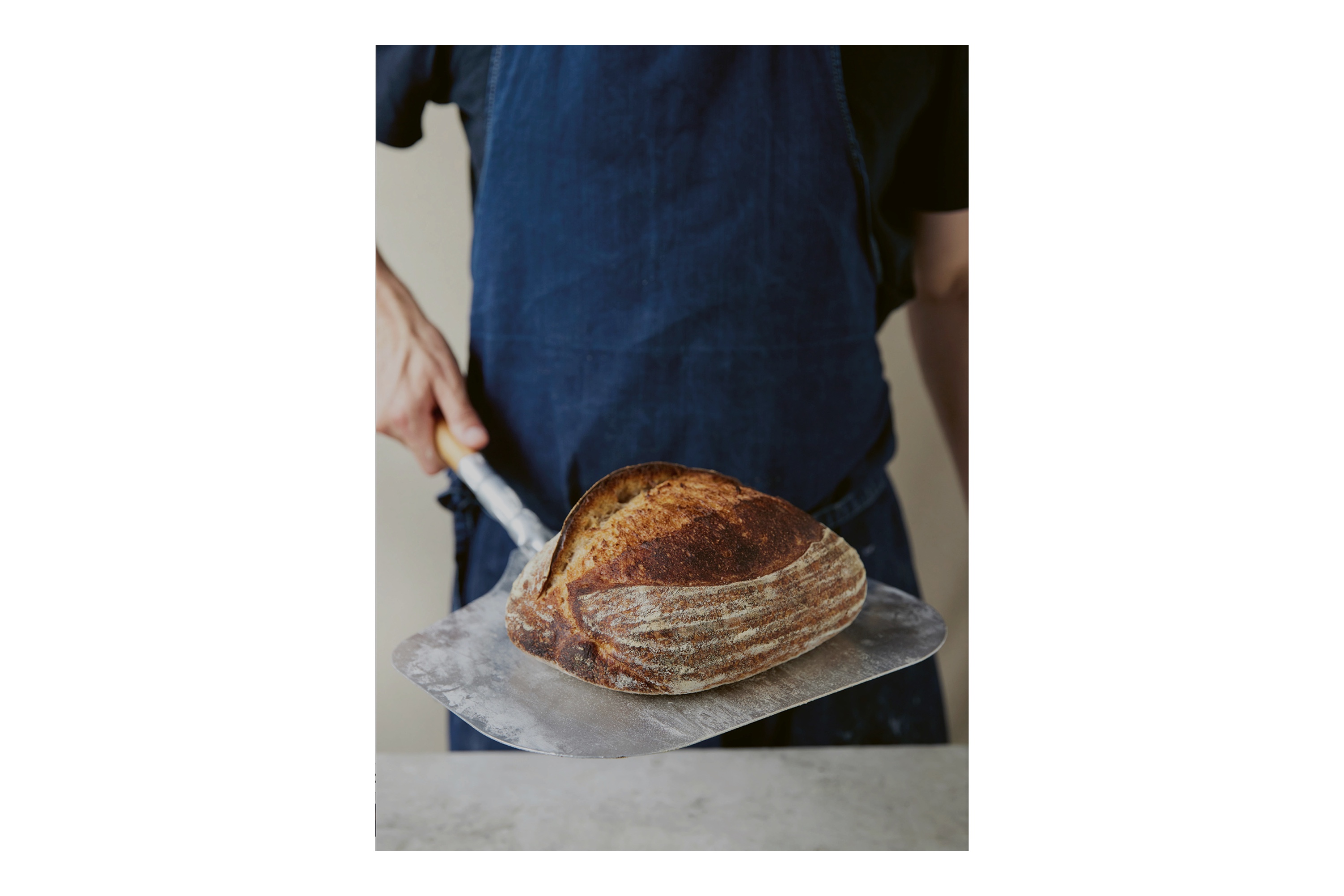 Meyers Surdejsskole / Meyers