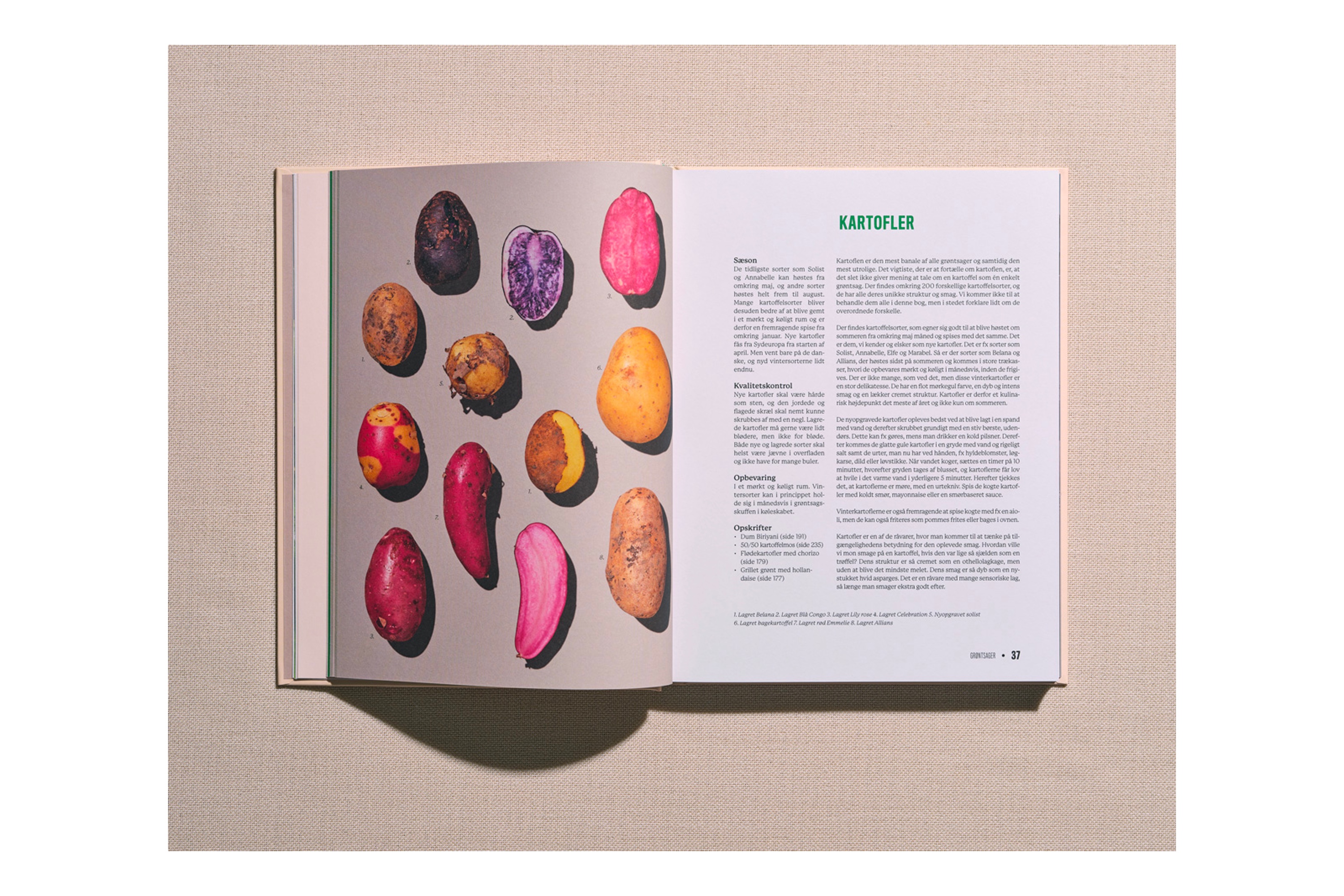 Planetarisk Kogebog: Grøntsager / Anders Kvorning, Malte Gaarde Meyenburg og Theis Bothmann