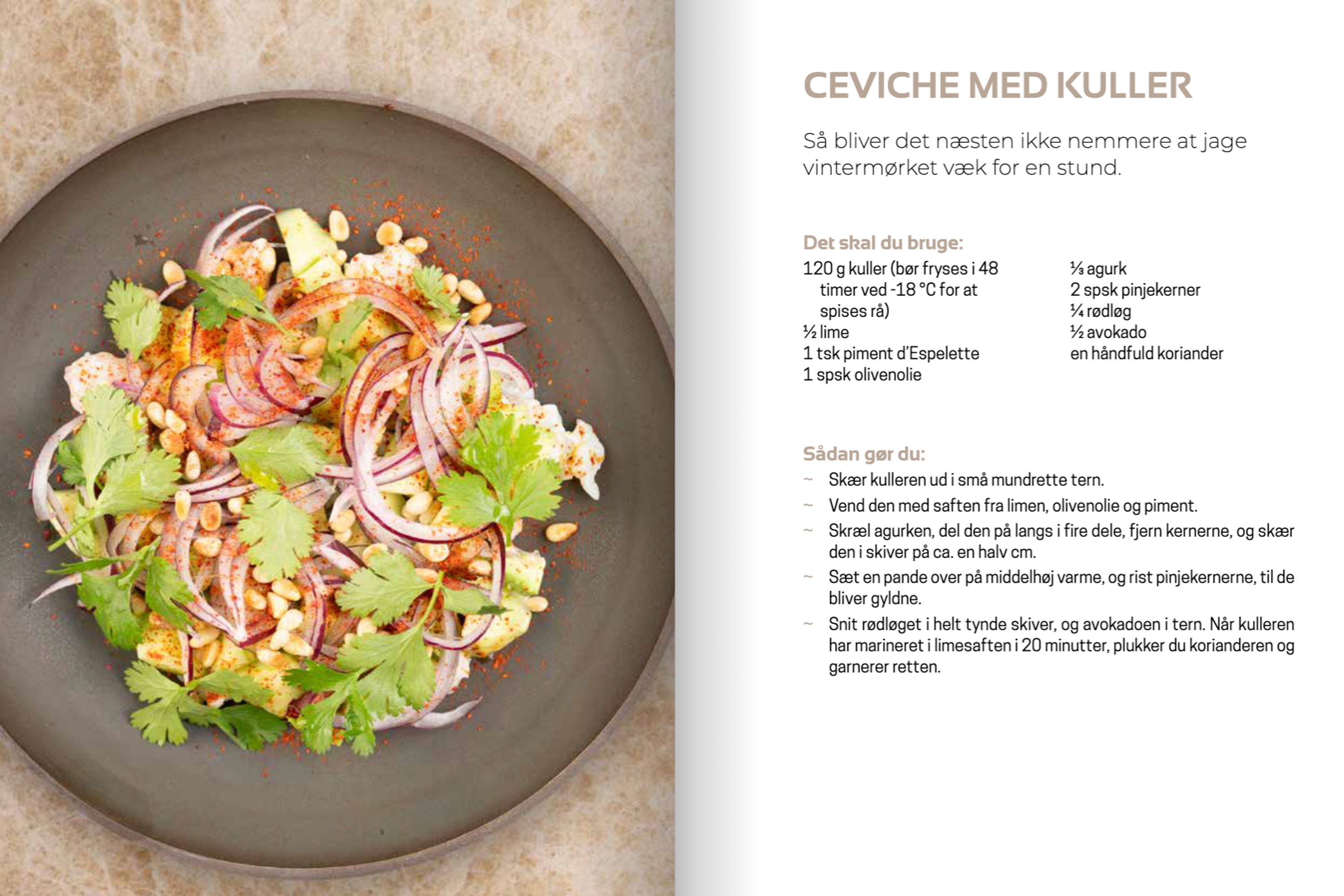 Et hav af velsmag / Jens Peter Moestrup Hansen