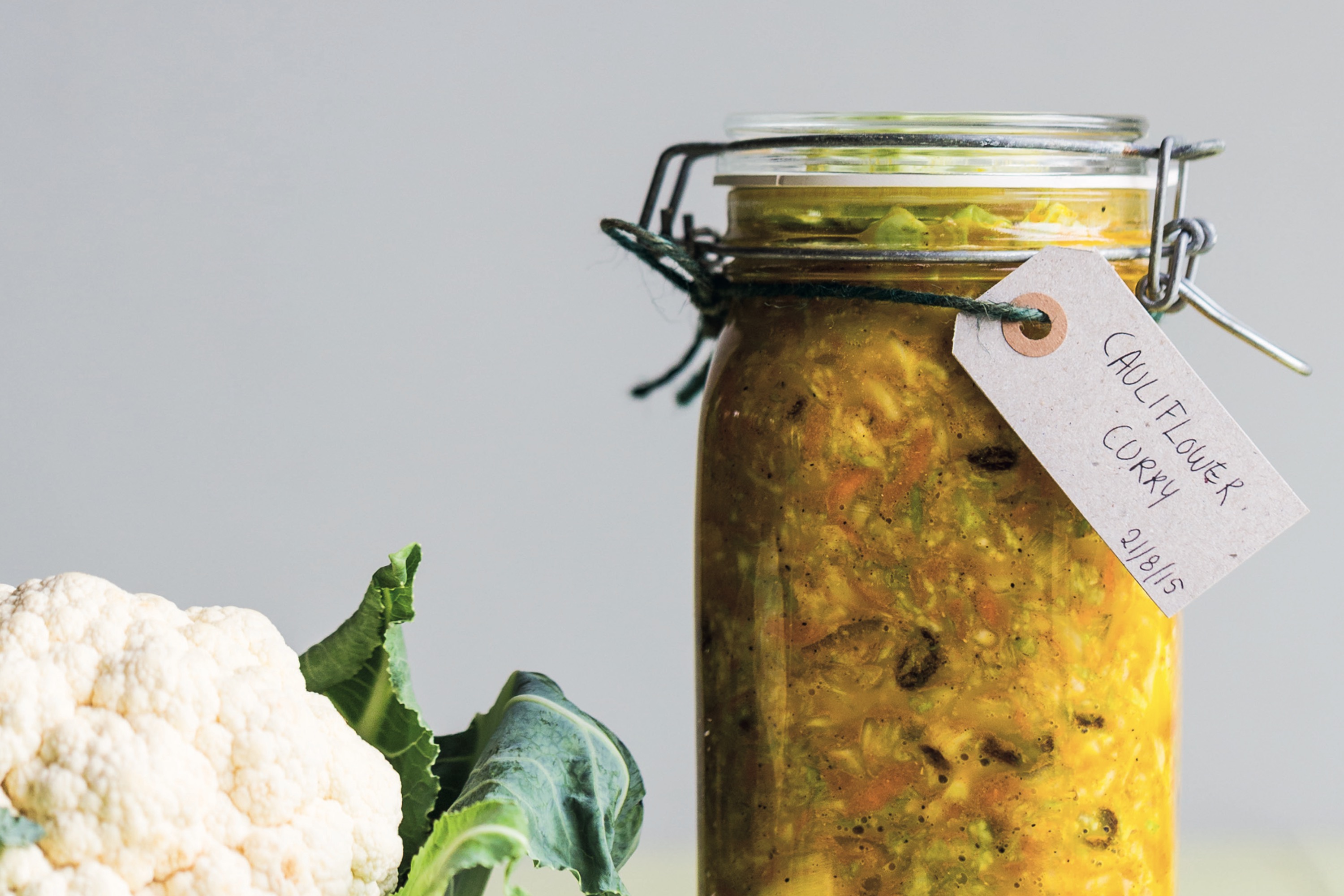 Den store grundbog i fermentering