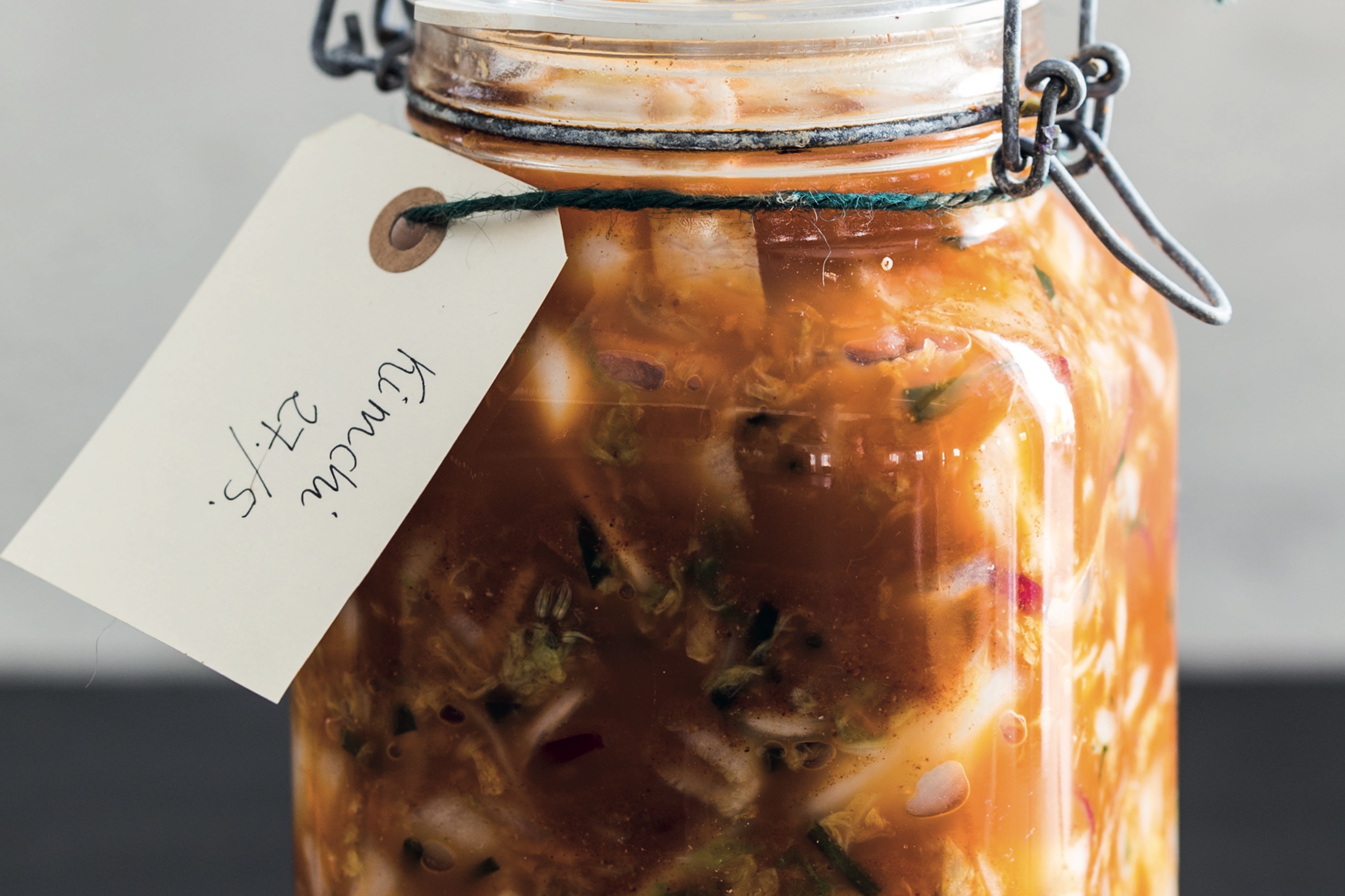 Den store grundbog i fermentering