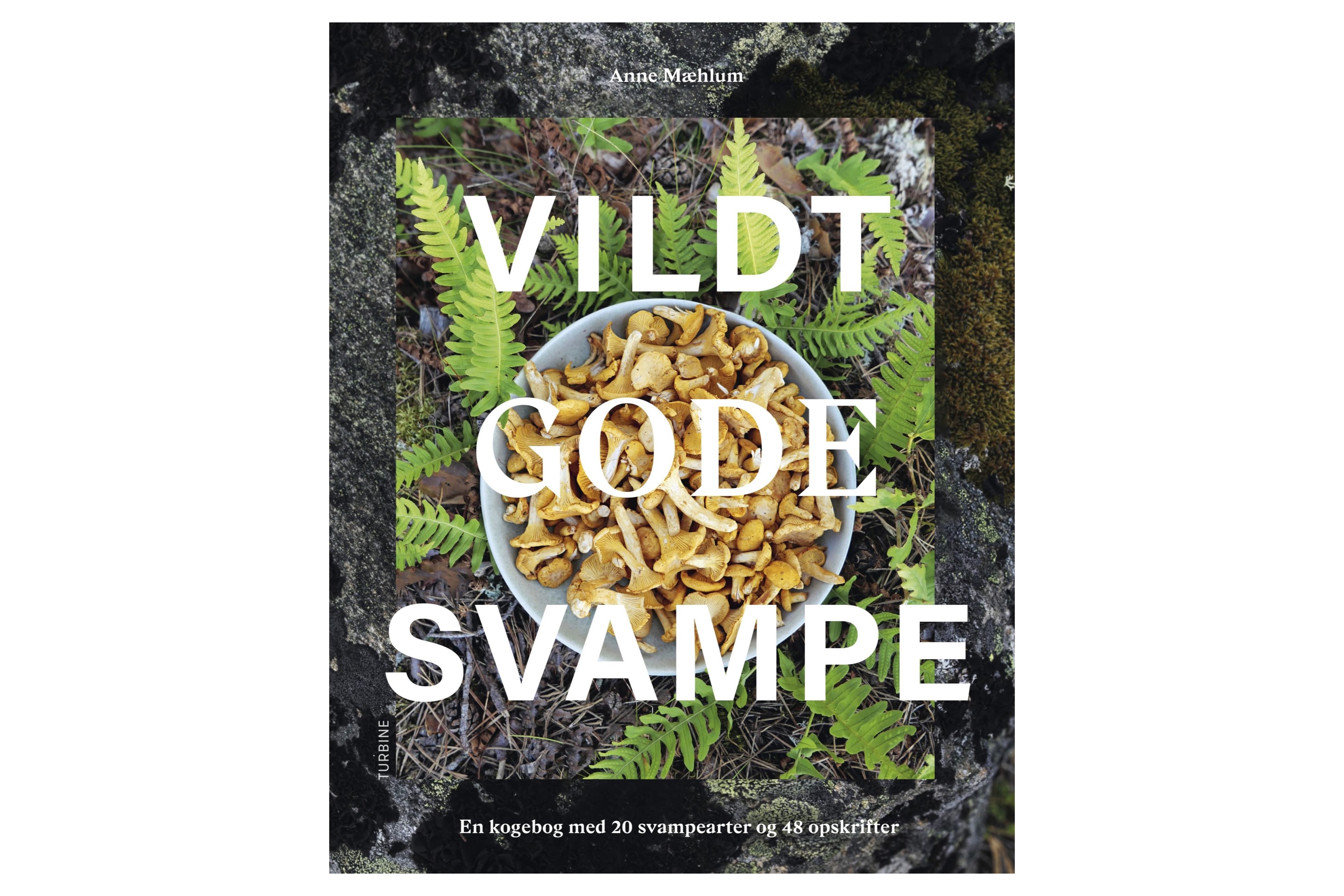 Vildt gode svampe - 20 svampearter og 48 opskrifter