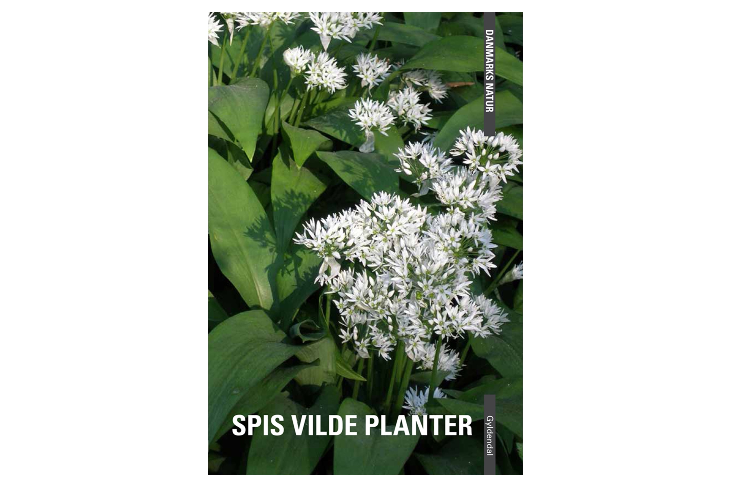 Spis vilde planter / Dorte Rhode Nissen og Edith Agerbo
